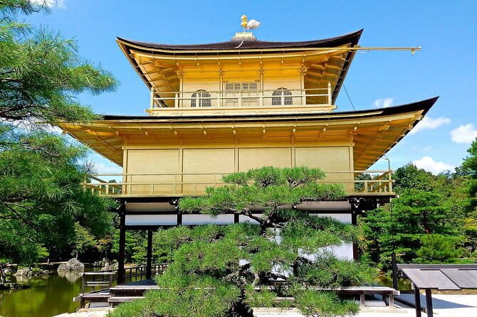 From Osaka or Kyoto: Kyoto and Nara 1-Day Bus Tour - Key points to know before booking