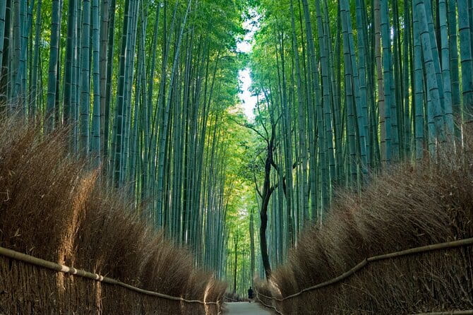 From Osaka or Kyoto: Kyoto and Nara 1-Day Bus Tour - What this Kyoto and Nara day tour is really designed to do