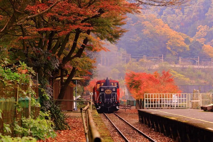 From Osaka: Sagano Train Ride and Kyoto Guided Day Tour - Key points at a glance