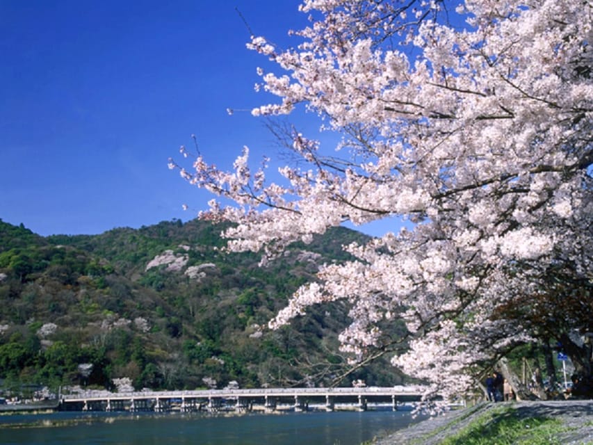 From Osaka: Sagano Train Ride and Kyoto Guided Day Tour - A big Kyoto day from Osaka