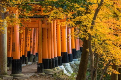 Sagano Train Ride and Kyoto Guided Day Tour