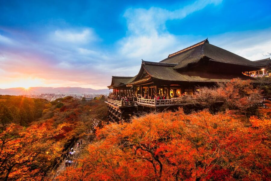 From Osaka: Sagano Train Ride and Kyoto Guided Day Tour - Is $66 a fair price?