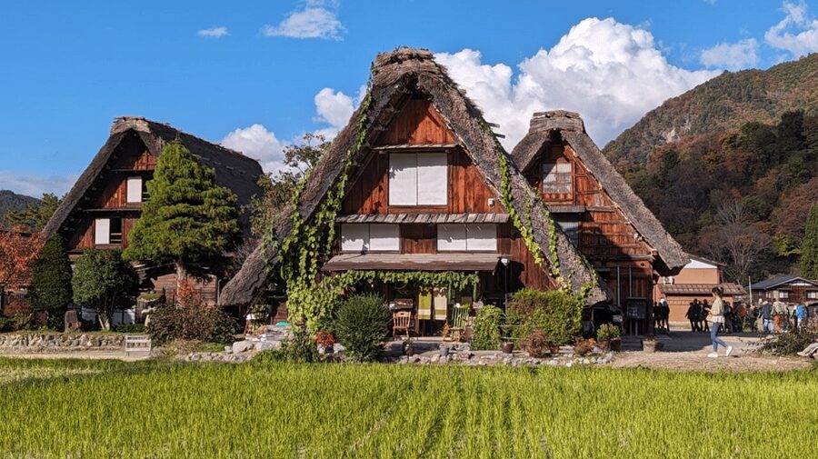 From Takayama: Guided Day Trip to Takayama and Shirakawa-go - Key points at a glance
