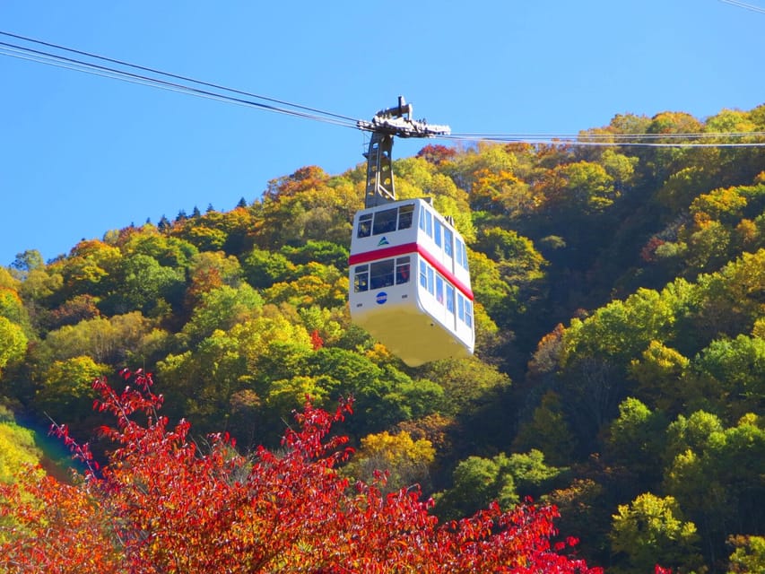 From Takayama: Shinhotaka Ropeway and Kamikochi tour - Why this alpine day trip works from Takayama