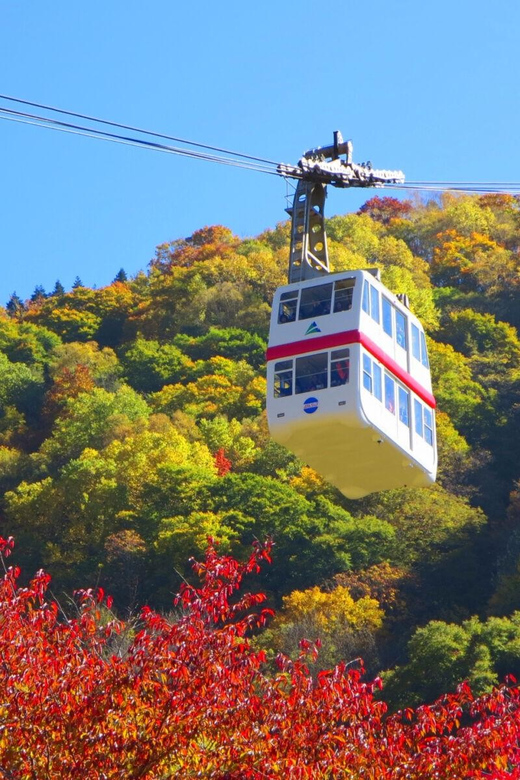 From Takayama: Shinhotaka Ropeway and Kamikochi tour - Is $211 a fair price?