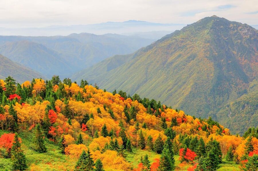 From Takayama: Shinhotaka Ropeway and Kamikochi tour - Who should book this day trip?