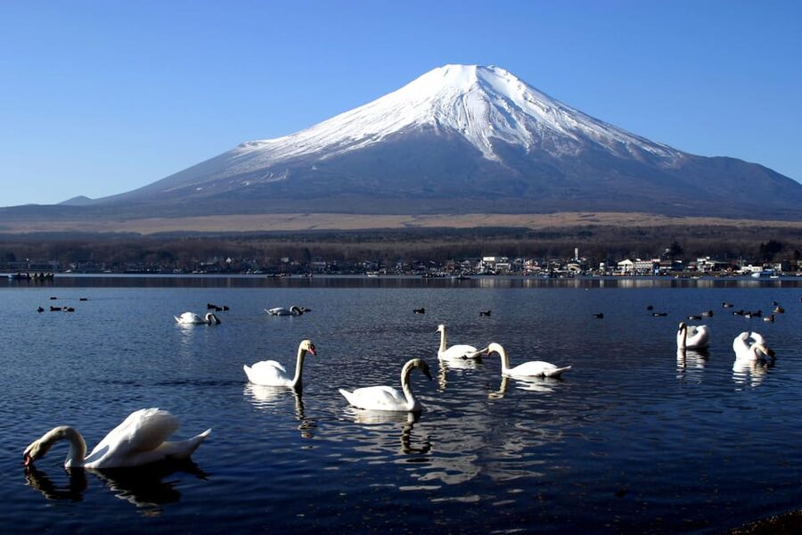 From Tokyo: Fuji Mountain Area - FujiQ - Lake Kawaguchiko - Chureito Pagoda - Why a private Fuji day can be worth the cost