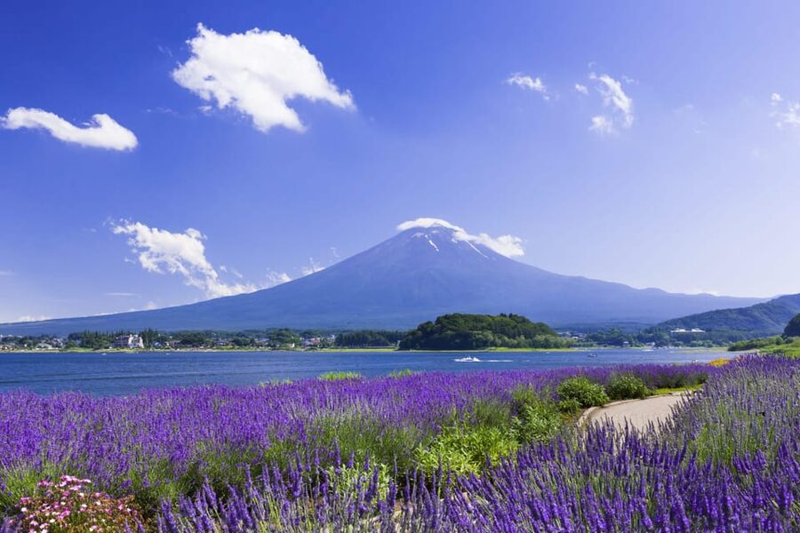 From Tokyo: Fuji Mountain Area - FujiQ - Lake Kawaguchiko - Chureito Pagoda - Lake Kawaguchiko, water, and optional rides