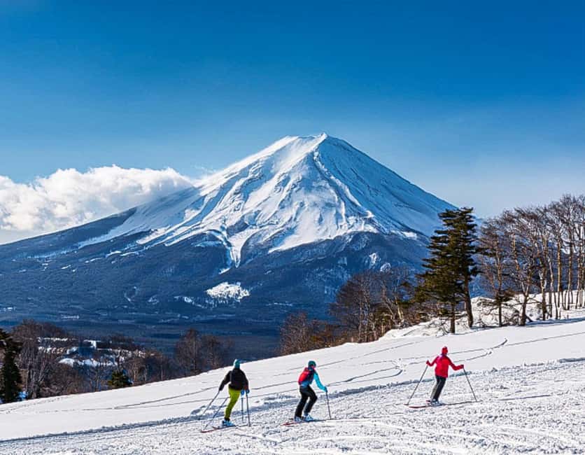 From Tokyo: Fujiyama Snow Resort Yeti Winter Ski Day Tour - Who should book this snow day?