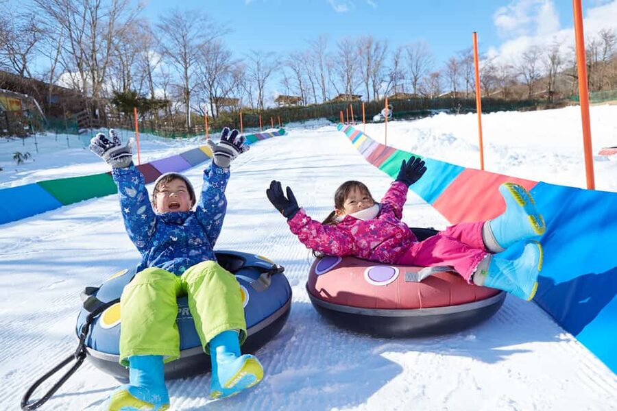 From Tokyo: Fujiyama Snow Resort Yeti Winter Ski Day Tour - Practical details before you reserve