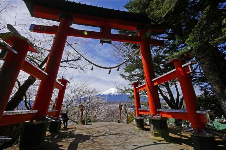 From Tokyo: Full-Day Mount Fuji Tour in English or Spanish - A full Fuji day from central Tokyo