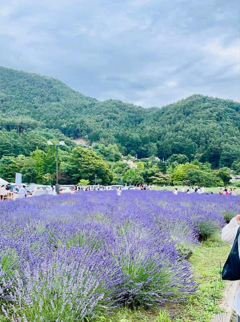 From Tokyo: Full-Day Mount Fuji Tour in English or Spanish - Kitaguchi Hongu Fuji Sengen Shrine and the northern route