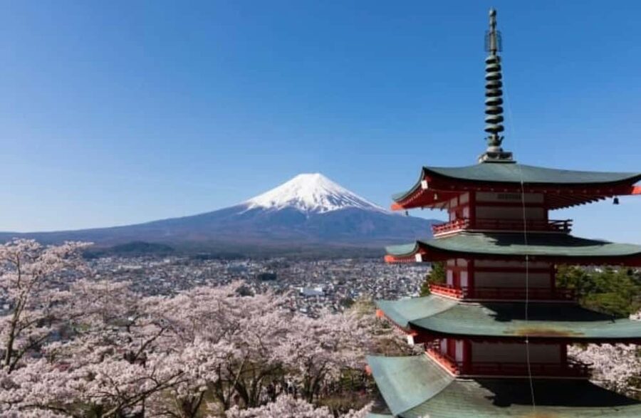 From Tokyo: Full-Day Mount Fuji Tour in English or Spanish - Who gets the best value from this tour