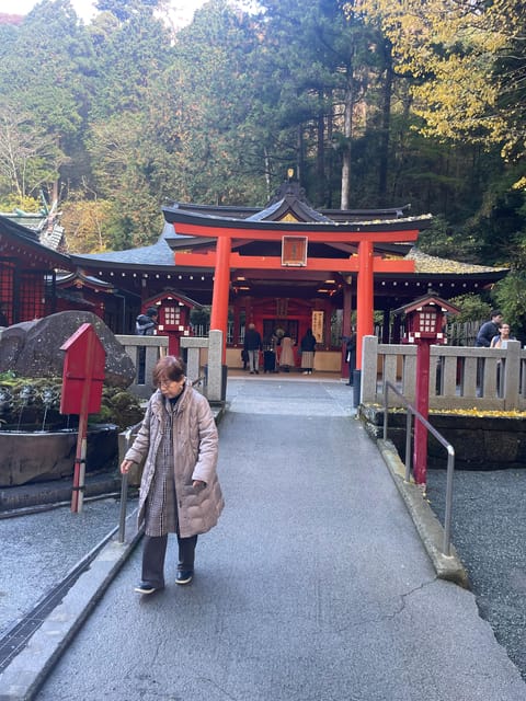 From Tokyo: Hakone Full Day Customizable Private Tour - Why a private Hakone trip can beat public transport