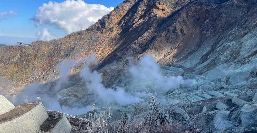 From Tokyo: Hakone Full Day Customizable Private Tour - Owakudani’s volcanic valley and the ropeway problem