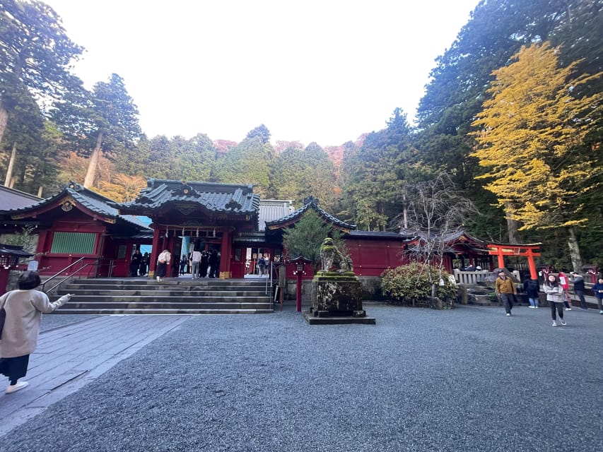 From Tokyo: Hakone Full Day Customizable Private Tour - Toyama Park and the Mount Hakone area
