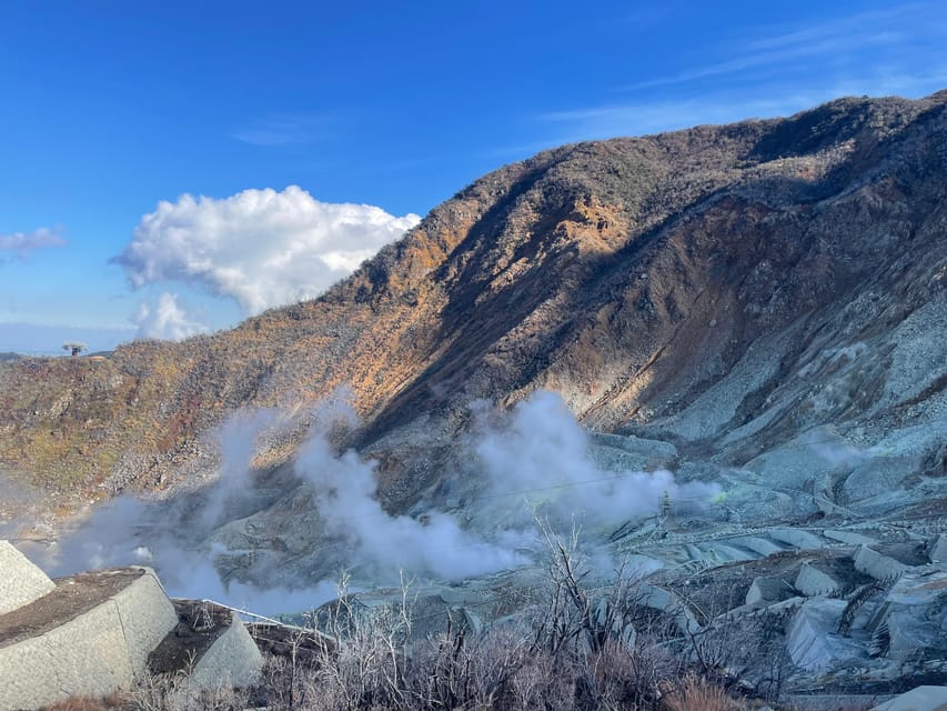 From Tokyo: Hakone Full Day Customizable Private Tour - Driver quality is a major part of the value
