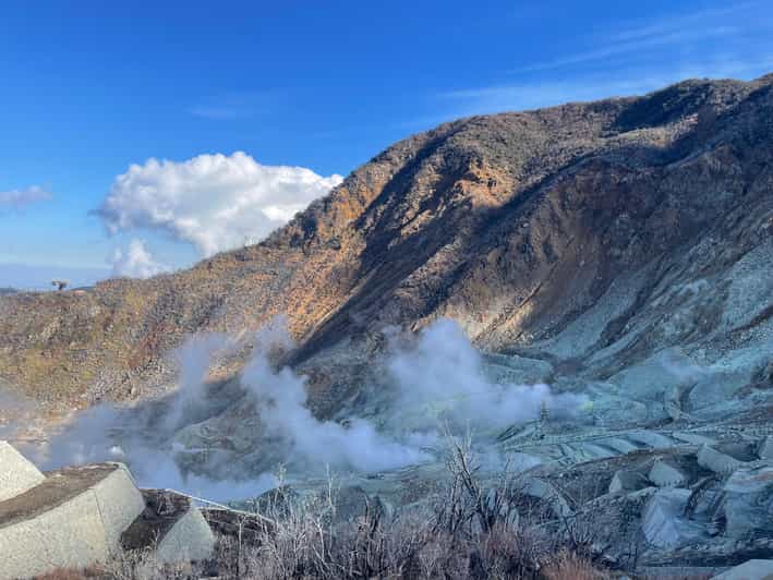 From Tokyo: Hakone Full Day Customizable Private Tour - Hakone Shrine and the first look at Lake Ashi
