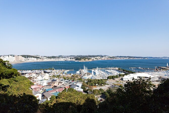 From Tokyo: Kamakura & Enoshima 1-Day Bus Tour - Tsurugaoka Hachimangu and Komachi Street