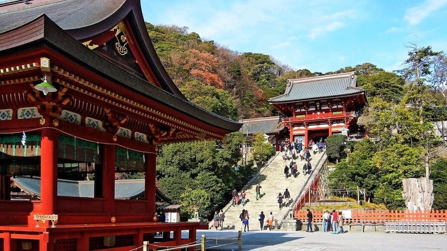 From Tokyo: Kamakura Full Day Tour with a Local Expert Guide - Key points to know before you book