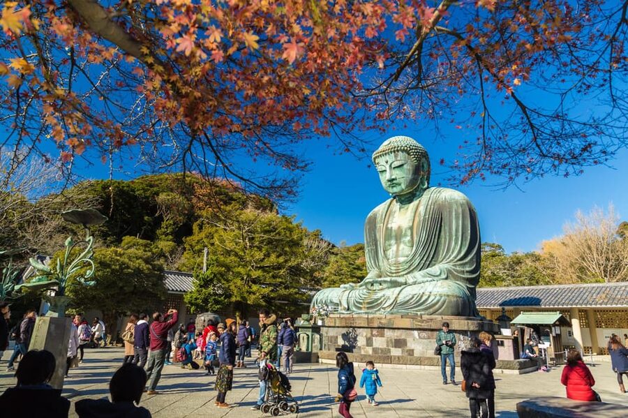 From Tokyo: Kamakura Full Day Tour with a Local Expert Guide - Tsurugaoka Hachimangu Shrine and the wider town