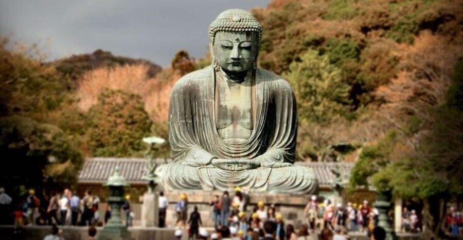 From Tokyo: Kamakura Private Customize Tour by Luxury Van - The Great Buddha at Kotoku-in Temple