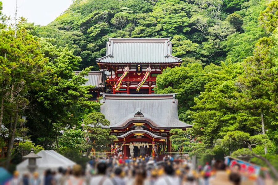 From Tokyo: Kamakura Private Customize Tour by Luxury Van - The train view and other custom stops