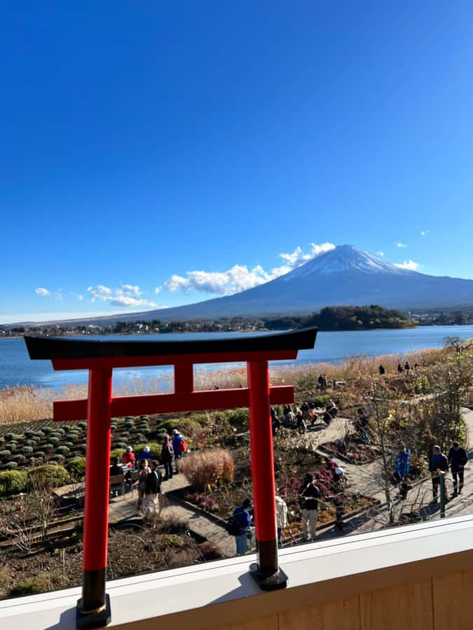 From Tokyo: Mount Fuji and Hakone Private Day Trip - Art and open space at the Hakone Open Air Museum