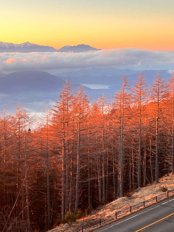 From Tokyo: Mount Fuji and Hakone Private Day Trip - A long but flexible day from Tokyo
