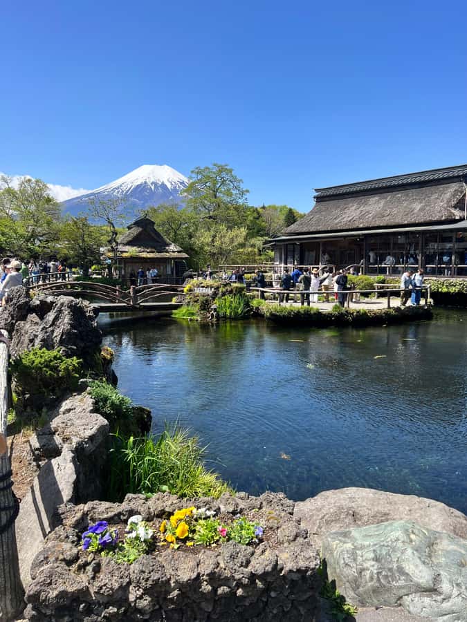 From Tokyo: Mount Fuji and Hakone Private Day Trip - Cedar trees and shrine gates at Kitaguchi Hongu