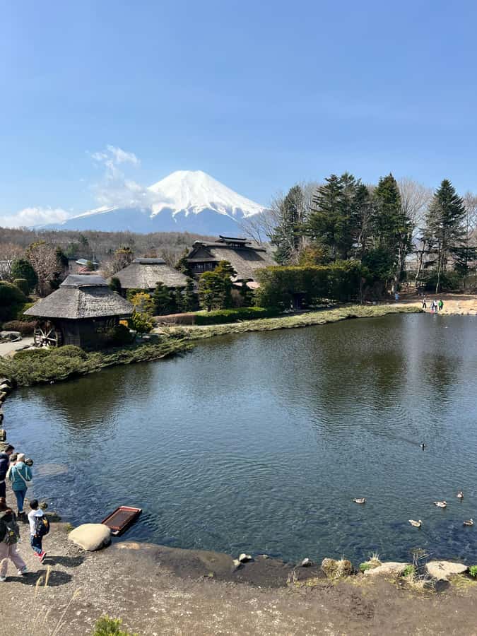 From Tokyo: Mount Fuji and Hakone Private Day Trip - Oshino Hakkai’s eight clear ponds