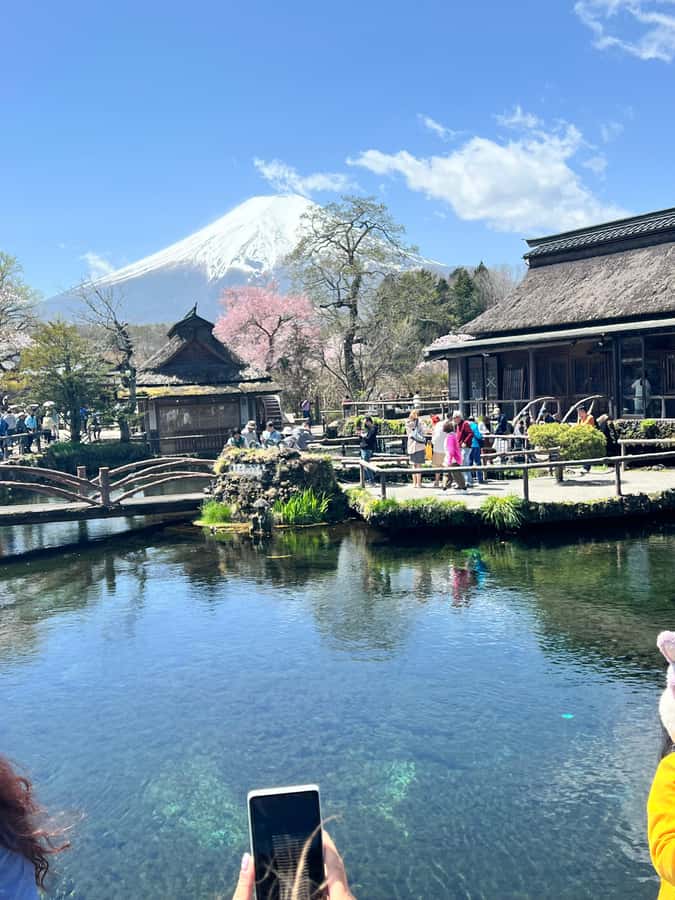 From Tokyo: Mount Fuji and Hakone Private Day Trip - The Hakone cable car and other optional rides