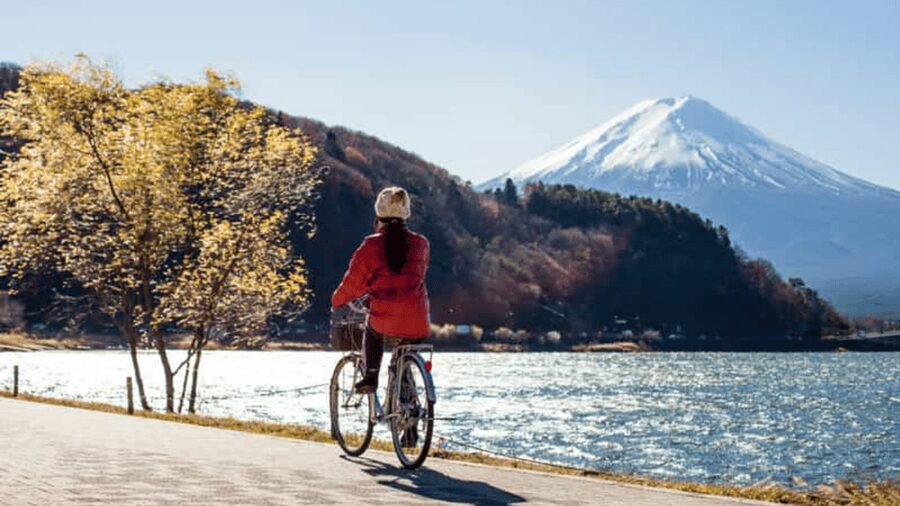 From Tokyo: Mount Fuji Full Customized Tour English Guide - Mount Fuji 5th Station: close to the mountain