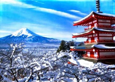 Mount Fuji Full Customized Tour English Guide