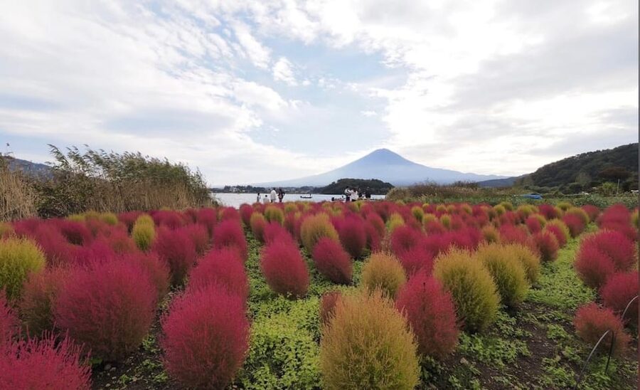 From Tokyo: Mount Fuji Full Customized Tour English Guide - Chureito Pagoda and the Arakurayama climb