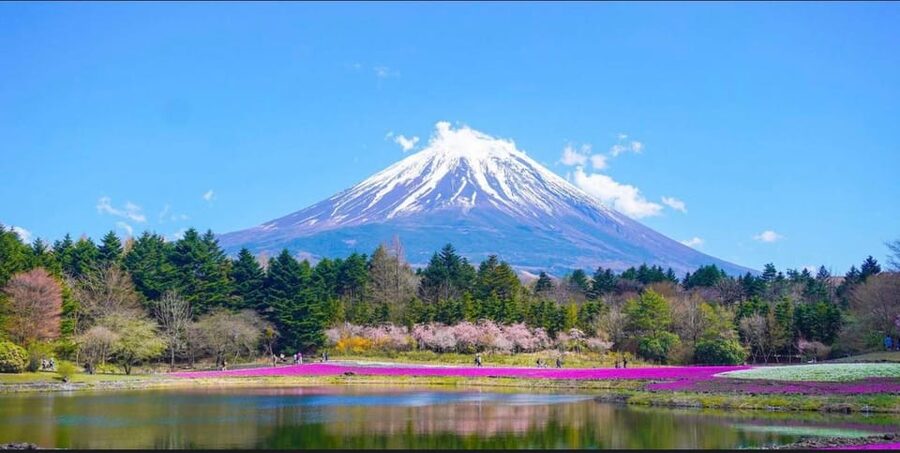 From Tokyo: Mount Fuji Full Day Customizable Private Tour - Shrines, museums, and shopping choices