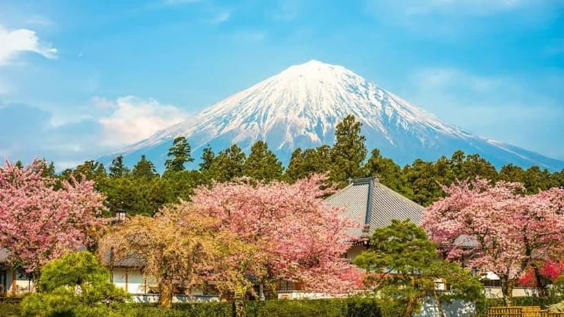 From Tokyo: Mount Fuji Full-Day Customizable Private Tour - What this private Mount Fuji day really offers