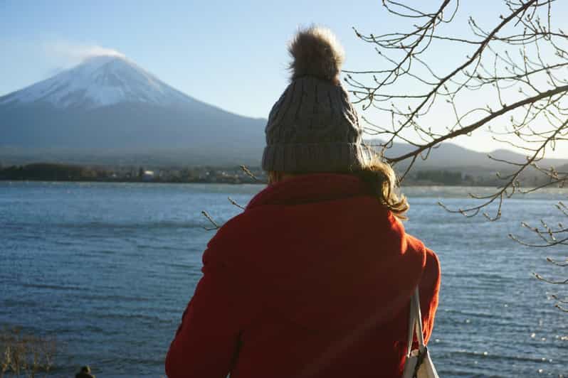 From Tokyo: Mount Fuji Full-Day Customizable Private Tour - Route B: Hakone ropeway, Lake Ashi, and outdoor art