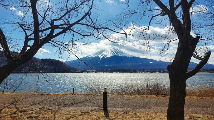 From Tokyo: Mount Fuji Full-Day Customizable Private Tour - The hidden cost of a ten-hour day
