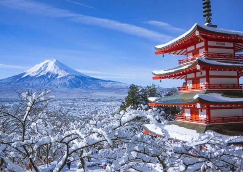 From Tokyo: Mount Fuji Full-Day Customizable Private Tour - Food, cash, and practical planning