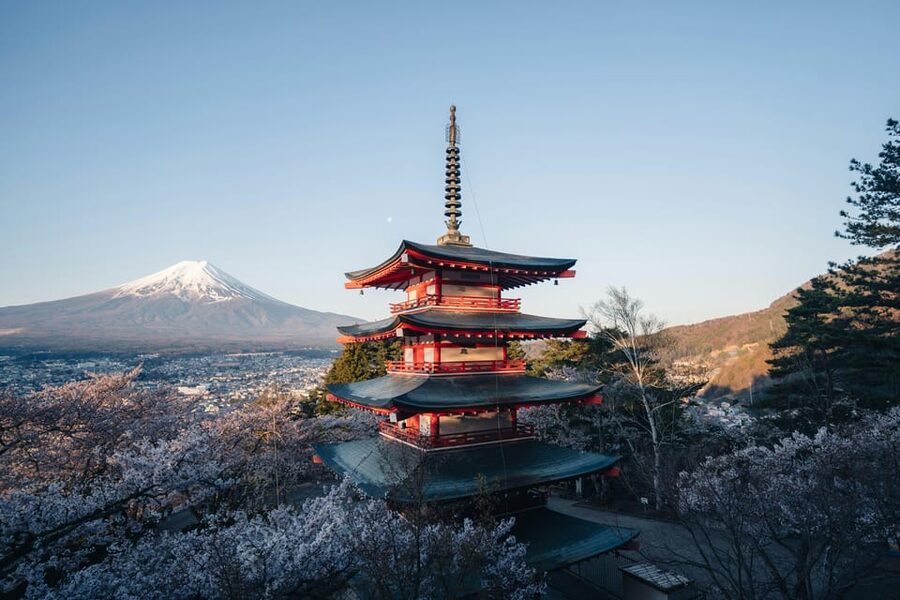 From Tokyo: Mount Fuji Full-Day Customizable Private Tour - Is this private Fuji and Hakone trip worth booking?