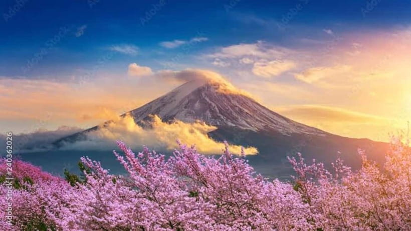 From Tokyo: Mount Fuji Full-Day Customizable Private Tour - Route A: Fuji views, shrines, lakes, and village ponds