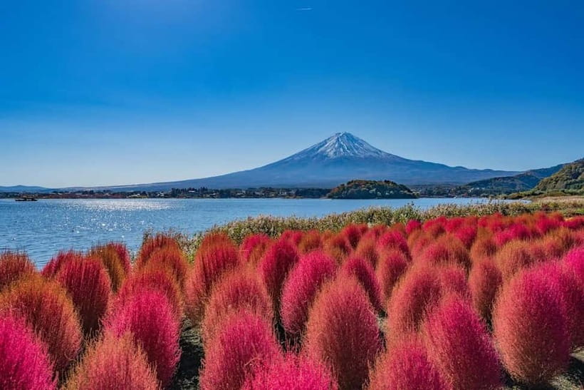 From Tokyo: Mount Fuji Full Day Private Customizable Tour - Key points to know before booking