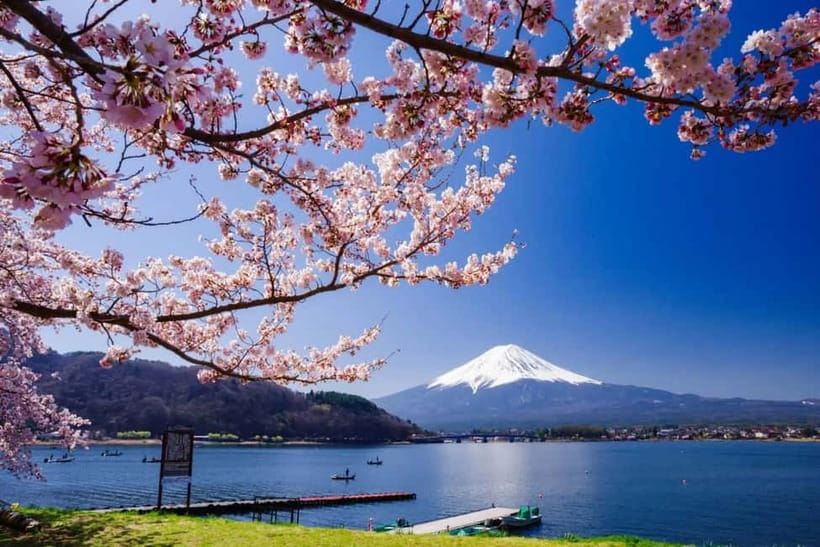 From Tokyo: Mount Fuji Full Day Private Customizable Tour - Why a private Mount Fuji day trip makes sense