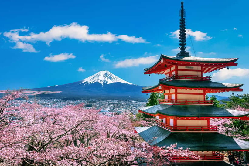 From Tokyo: Mount Fuji Full Day Private Customizable Tour - Start early from Tokyo