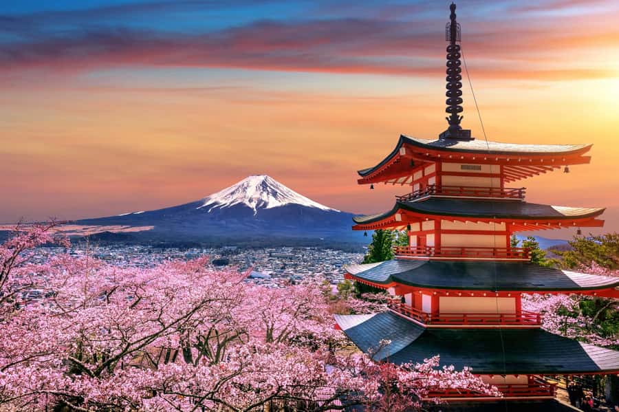 From Tokyo: Mount Fuji Full-Day Private Tour (Customizable) - Key points to know before booking