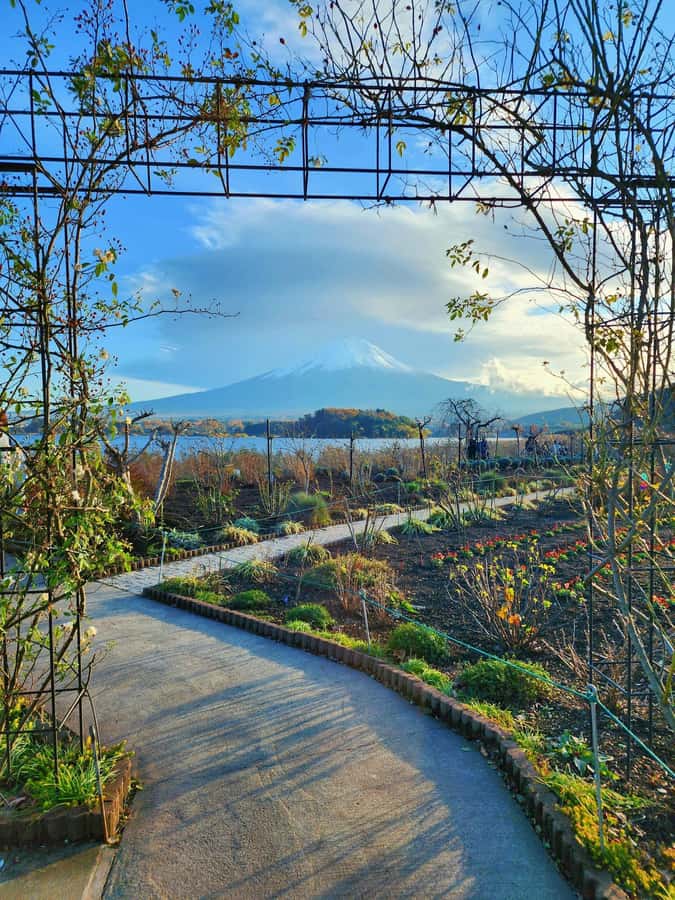 From Tokyo: Mount Fuji Full-Day Private Tour (Customizable) - Weather, walking, and the less glamorous details
