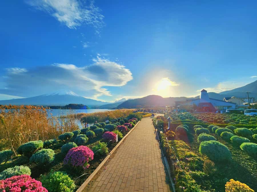 From Tokyo: Mount Fuji Full-Day Private Tour (Customizable) - Oshino Hakkai and the quieter side of Fuji country
