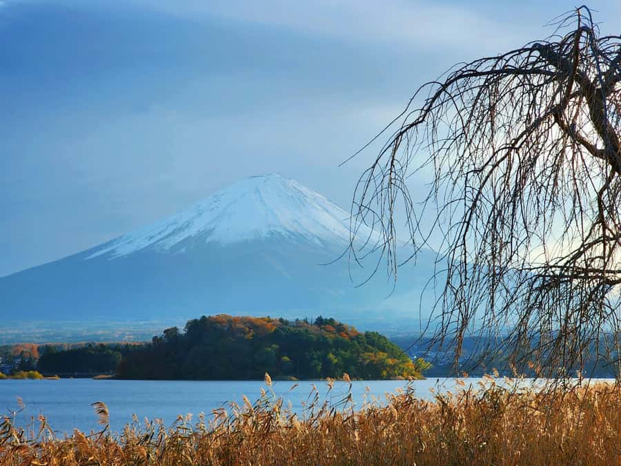 From Tokyo: Mount Fuji Full-Day Private Tour (Customizable) - Fuji’s 5th or 6th Station, when roads and weather allow