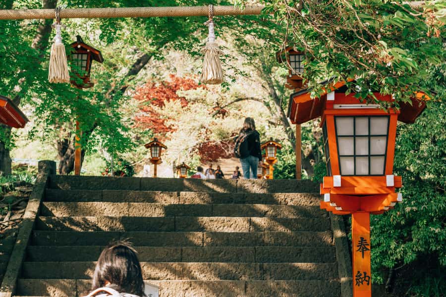 From Tokyo: Mount Fuji Full-Day Private Tour (Customizable) - How much can you really customize?